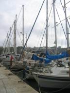 Kopie - 138_3877.JPG